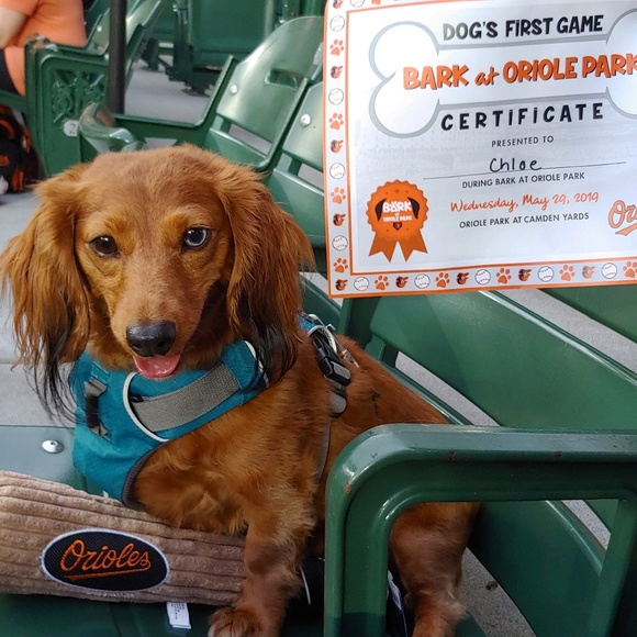 Meet your Posher, Stephanie - Picture 1 of 1